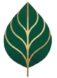 verdantleaves.com
